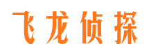 岱岳侦探